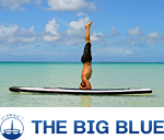 THE BIG BLUE